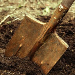 garden-services-small-5 garden-services-small-5